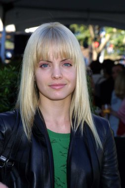 MENA suvari