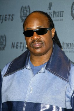 Stevie Wonder