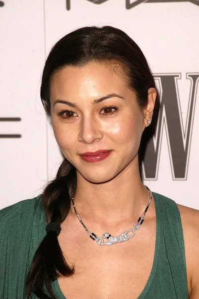 China Chow — Stock Photo, Image