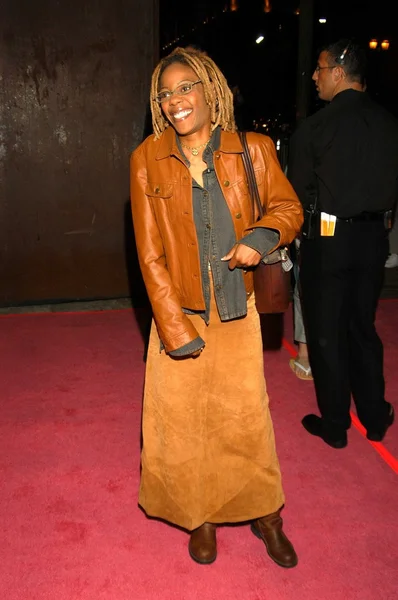 Debra Wilson — Photo