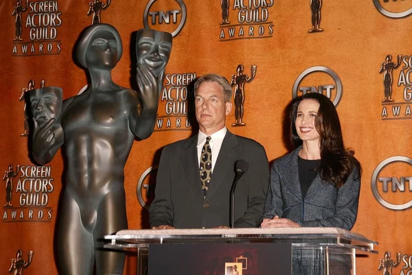 Mark harmon en andie macdowell — Stockfoto