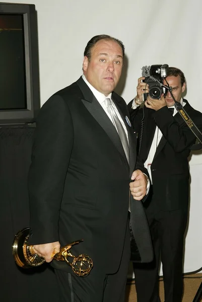 James Gandolfini. — Fotografia de Stock