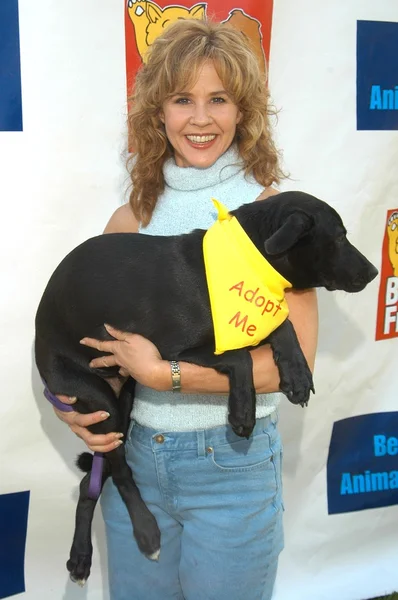 Linda Blair. — Foto Stock