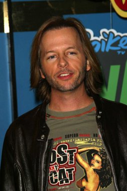 David Spade