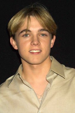 Jesse mccartney