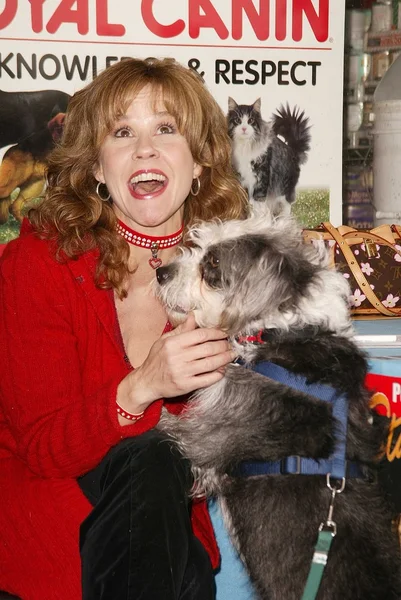 Linda Blair. — Foto de Stock