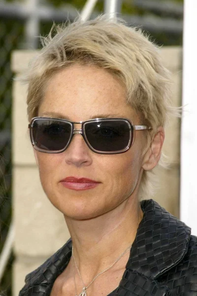 Sharon Stone — Zdjęcie stockowe