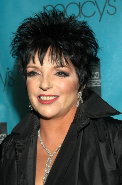 Liza Minnelli — Stock Photo, Image