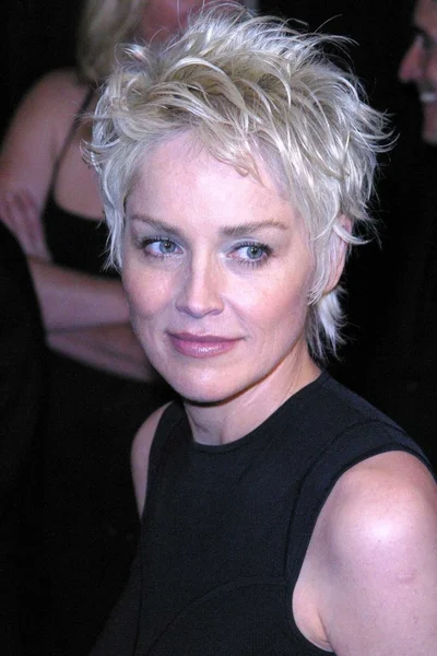 Sharon Stone — Stock Photo, Image