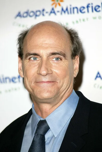 James Taylor. — Foto de Stock