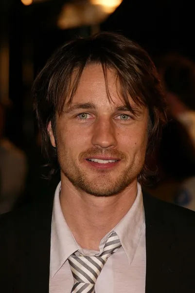 Martin Henderson. — Fotografia de Stock