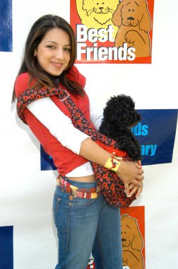 Vanessa lengies marci ile
