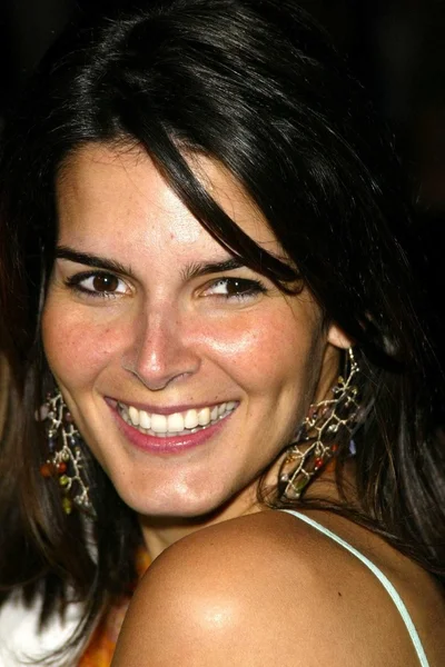 Angie harmon — Foto de Stock