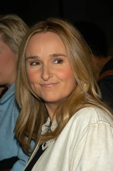 Melissa Etheridge — Foto Stock