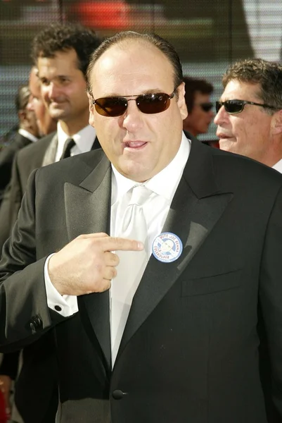 James Gandolfini. — Foto de Stock