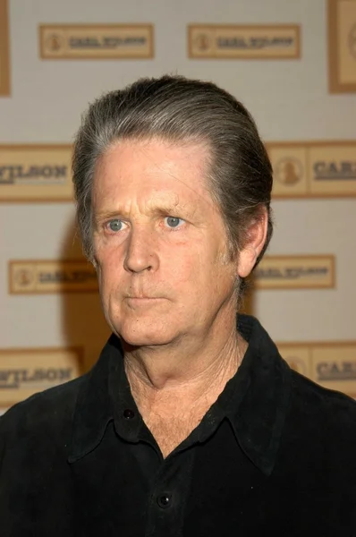 Brian Wilson. — Fotografia de Stock