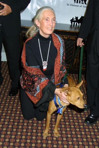 Jane Goodall — Stock Photo, Image