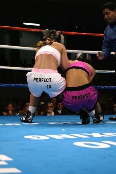 Jenny Leone vs. Daniela Gil — Stock Photo, Image