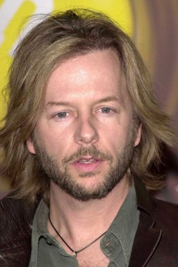 David Spade