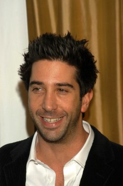 David Schwimmer