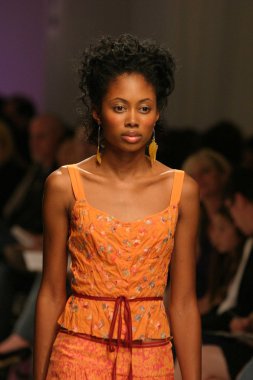 modeli