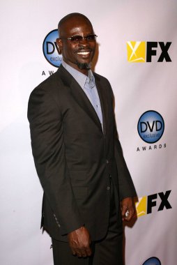 Djimon Hounsou