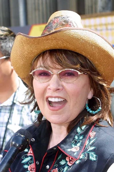 Roseanne Barr — Zdjęcie stockowe