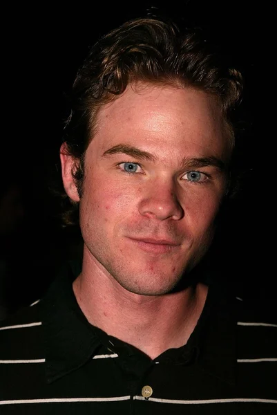 Shawn Ashmore — Stock Photo, Image