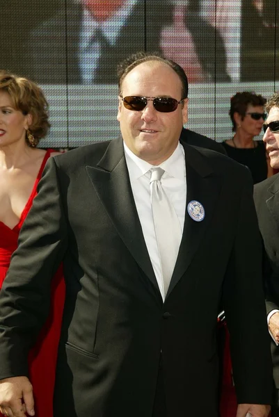 James Gandolfini. — Foto de Stock