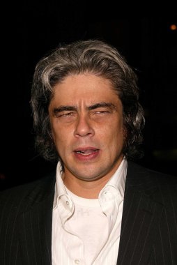 Benecio Del Toro