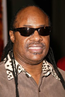 Stevie Wonder