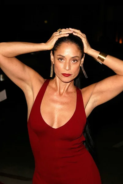 Sonia Braga — Stockfoto