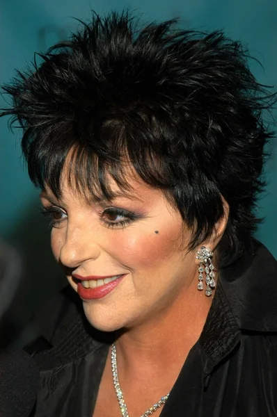 Liza Minnelli — Zdjęcie stockowe