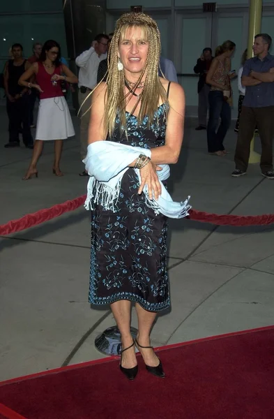 Catherine Hardwicke — Foto Stock