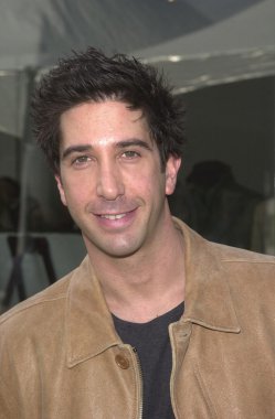 David Schwimmer