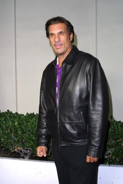 Robert Davi — Stock Photo, Image