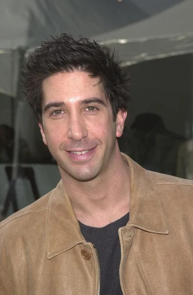 David Schwimmer — Stock fotografie