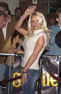 Pamela Anderson
