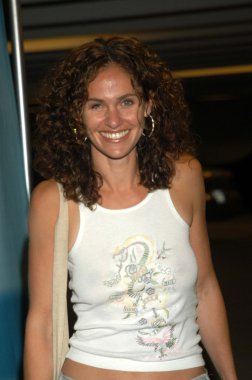 Amy Brenneman