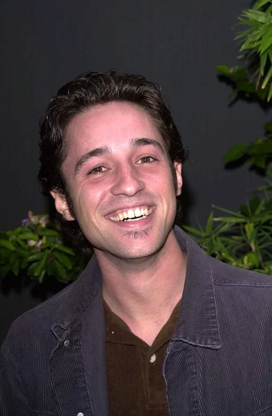 Thomas Ian Nicholas — Stockfoto