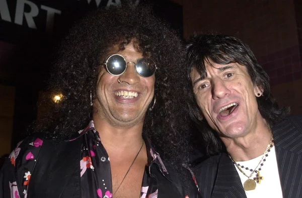 Slash en ron wood — Stockfoto