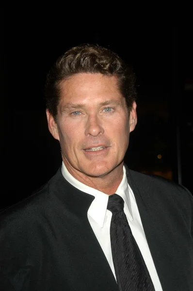 David Hasselhoff — Stockfoto