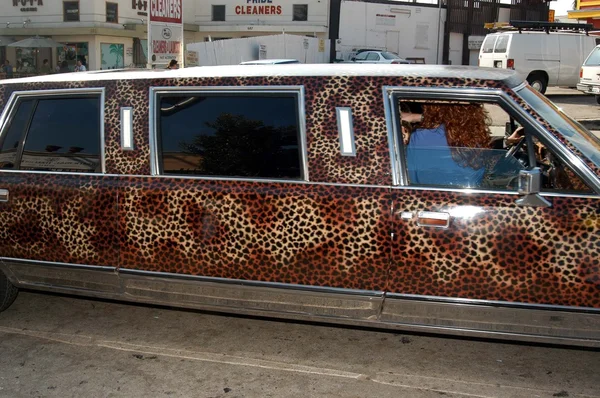 La limousine d'Anna — Photo