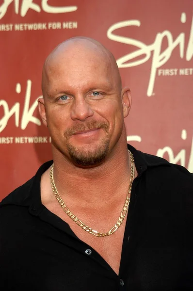 Steve Austin — Stockfoto