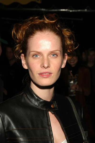 Rebecca Mader — Stok fotoğraf