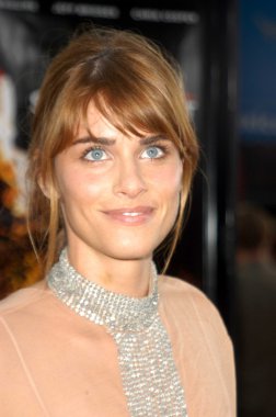 Amanda Peet