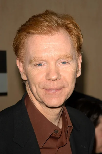 David Caruso — Stock Photo, Image