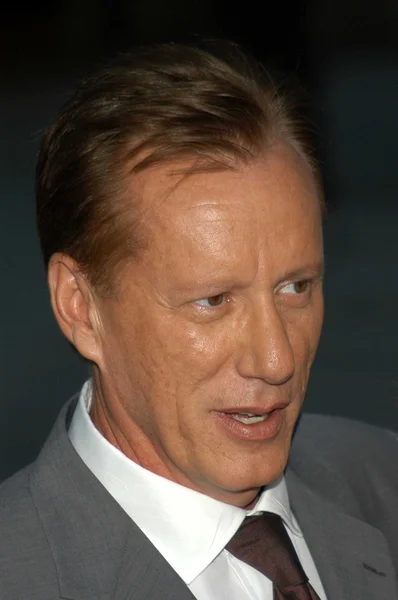 James Woods —  Fotos de Stock