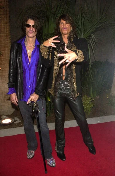 Joe Perry and Steven Tyler — Stock Photo, Image