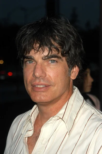 Peter Gallagher — Photo